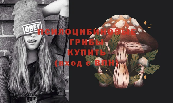 spice Арсеньев