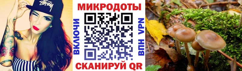 Галлюциногенные грибы прущие грибы  как найти закладки  Рузаевка 